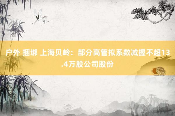户外 捆绑 上海贝岭：部分高管拟系数减握不超13.4万股公司股份