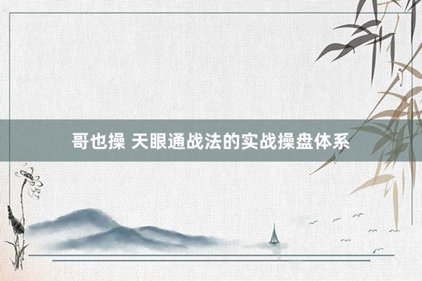 哥也操 天眼通战法的实战操盘体系