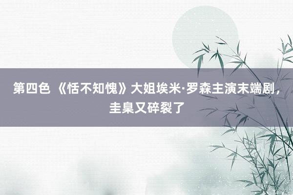 第四色 《恬不知愧》大姐埃米·罗森主演末端剧，圭臬又碎裂了