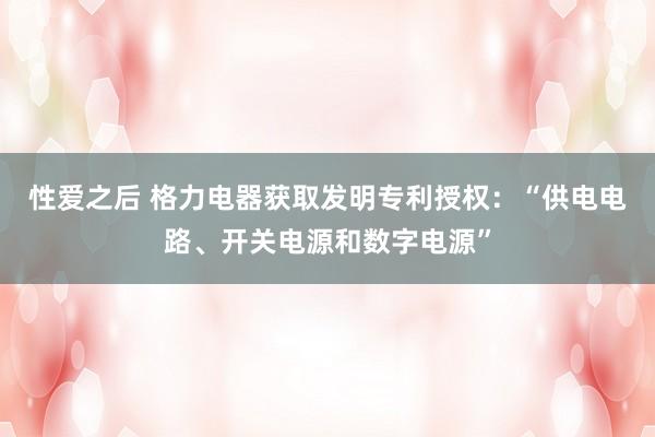 性爱之后 格力电器获取发明专利授权：“供电电路、开关电源和数字电源”