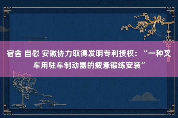 宿舍 自慰 安徽协力取得发明专利授权：“一种叉车用驻车制动器的疲惫锻练安装”