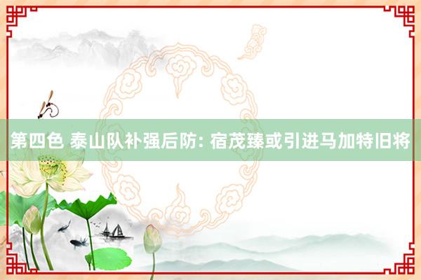 第四色 泰山队补强后防: 宿茂臻或引进马加特旧将