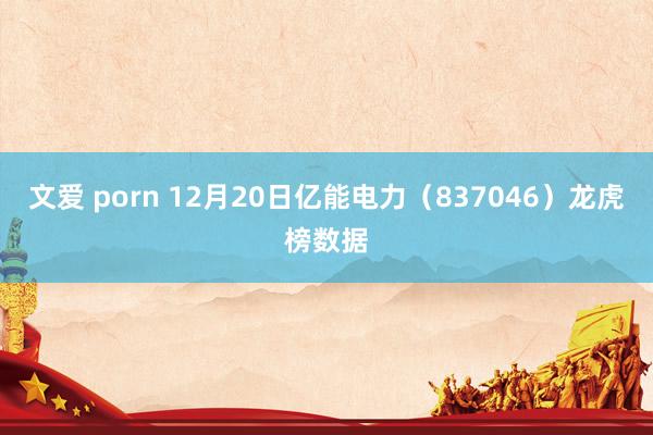 文爱 porn 12月20日亿能电力（837046）龙虎榜数据