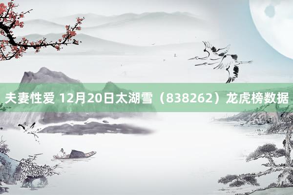 夫妻性爱 12月20日太湖雪（838262）龙虎榜数据