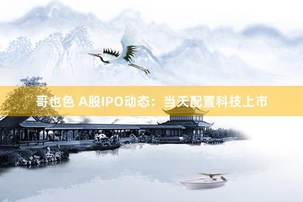 哥也色 A股IPO动态：当天配置科技上市