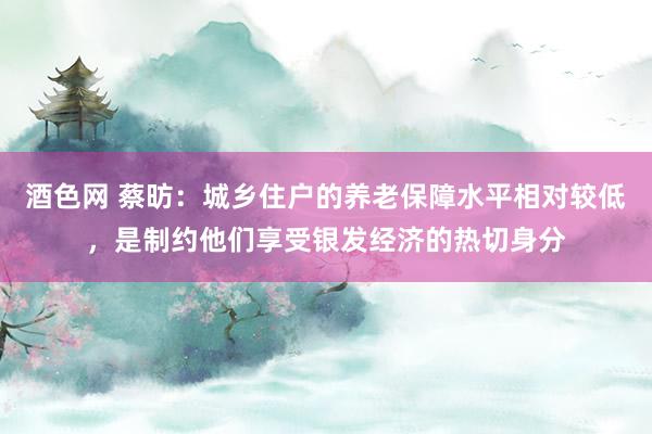 酒色网 蔡昉：城乡住户的养老保障水平相对较低，是制约他们享受银发经济的热切身分