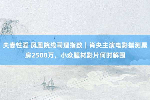夫妻性爱 凤凰院线司理指数｜肖央主演电影揣测票房2500万，小众题材影片何时解围