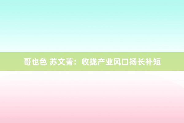哥也色 苏文菁：收拢产业风口扬长补短