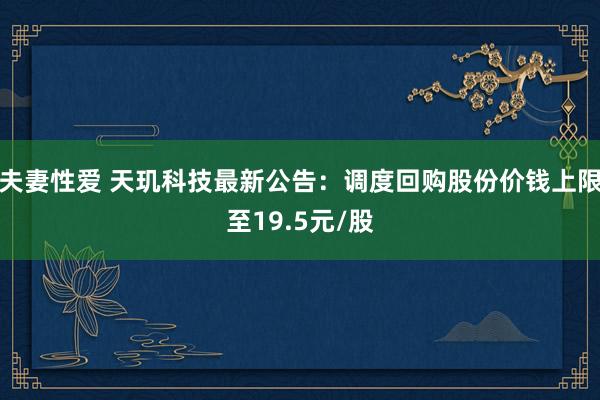 夫妻性爱 天玑科技最新公告：调度回购股份价钱上限至19.5元/股