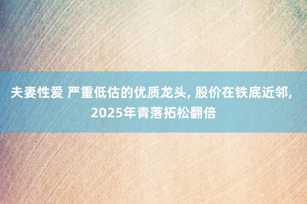 夫妻性爱 严重低估的优质龙头， 股价在铁底近邻， 2025年青落拓松翻倍