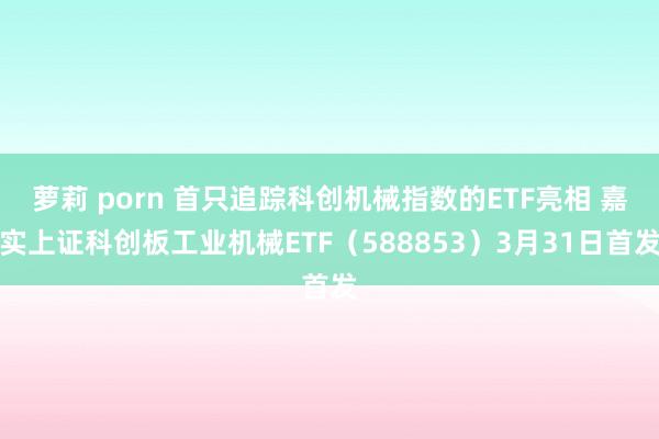 萝莉 porn 首只追踪科创机械指数的ETF亮相 嘉实上证科创板工业机械ETF（588853）3月31日首发