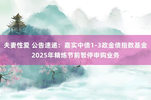 夫妻性爱 公告速递:嘉实中债1-3政金债指数基金2025年精炼节前暂停申购业务