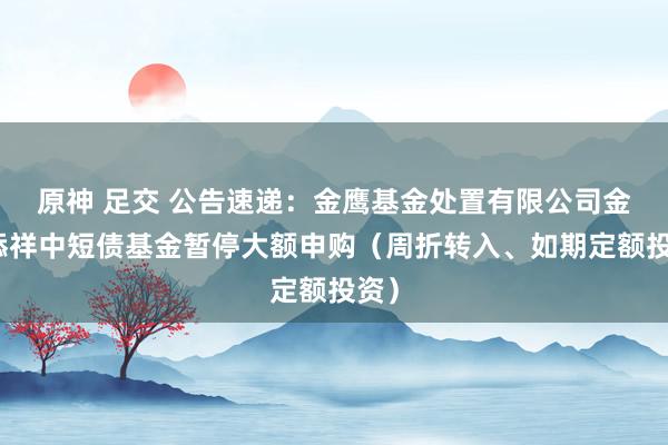 原神 足交 公告速递：金鹰基金处置有限公司金鹰添祥中短债基金暂停大额申购（周折转入、如期定额投资）