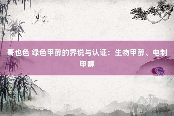 哥也色 绿色甲醇的界说与认证：生物甲醇、电制甲醇