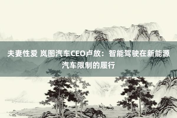 夫妻性爱 岚图汽车CEO卢放：智能驾驶在新能源汽车限制的履行