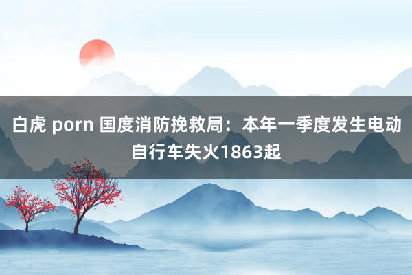 白虎 porn 国度消防挽救局：本年一季度发生电动自行车失火1863起