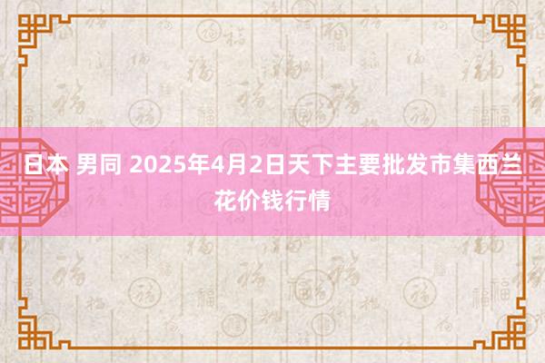 日本 男同 2025年4月2日天下主要批发市集西兰花价钱行情