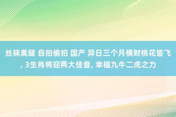 丝袜美腿 自拍偷拍 国产 异日三个月横财桃花皆飞， 3生肖将迎两大佳音， 幸福九牛二虎之力