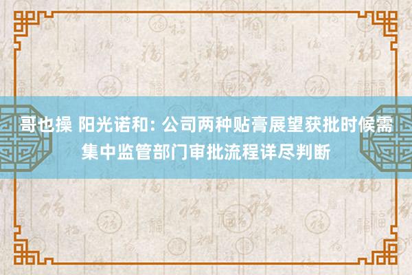 哥也操 阳光诺和: 公司两种贴膏展望获批时候需集中监管部门审批流程详尽判断