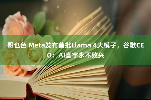 哥也色 Meta发布首批Llama 4大模子，谷歌CEO：AI寰宇永不败兴