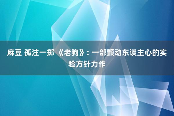 麻豆 孤注一掷 《老狗》: 一部颤动东谈主心的实验方针力作
