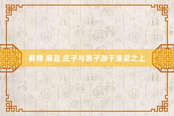 蘇暢 麻豆 庄子与惠子游于濠梁之上