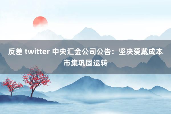 反差 twitter 中央汇金公司公告：坚决爱戴成本市集巩固运转