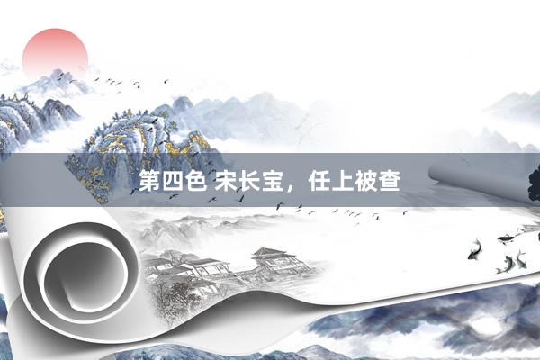 第四色 宋长宝，任上被查