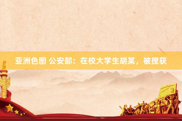 亚洲色图 公安部：在校大学生胡某，被捏获