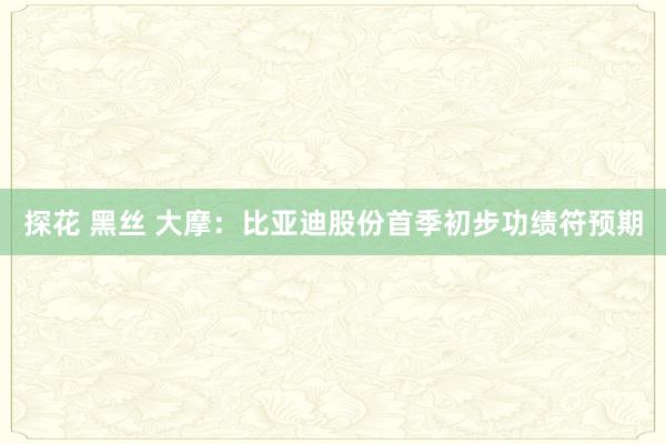 探花 黑丝 大摩:比亚迪股份首季初步功绩符预期