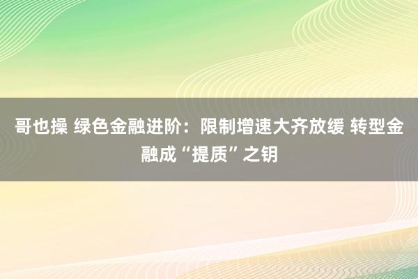 哥也操 绿色金融进阶：限制增速大齐放缓 转型金融成“提质”之钥