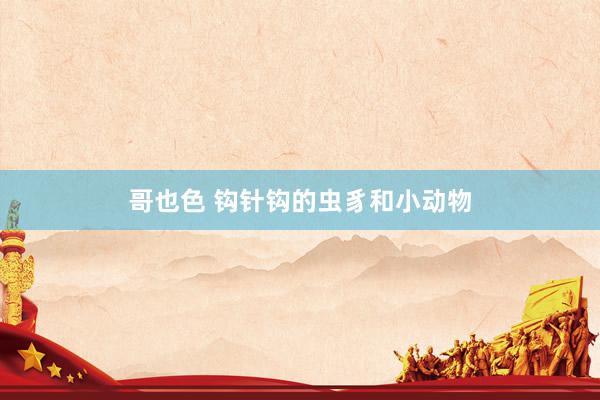 哥也色 钩针钩的虫豸和小动物