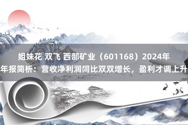 姐妹花 双飞 西部矿业（601168）2024年年报简析：营收净利润同比双双增长，盈利才调上升