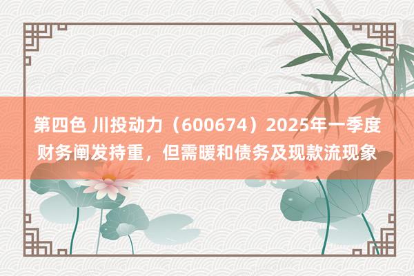 第四色 川投动力（600674）2025年一季度财务阐发持重，但需暖和债务及现款流现象