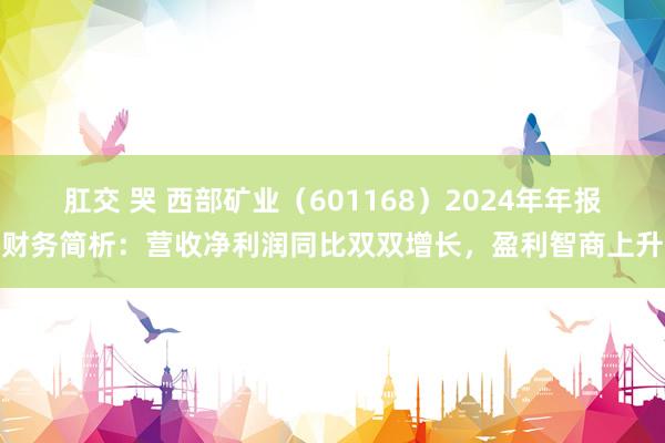肛交 哭 西部矿业（601168）2024年年报财务简析：营收净利润同比双双增长，盈利智商上升