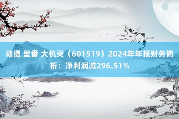 动漫 里番 大机灵（601519）2024年年报财务简析：净利润减296.51%