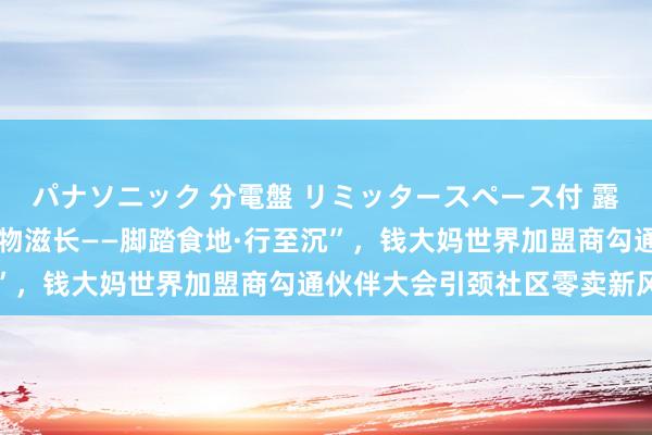 パナソニック 分電盤 リミッタースペース付 露出・半埋込両用形 “万物滋长——脚踏食地·行至沉”，钱大妈世界加盟商勾通伙伴大会引颈社区零卖新风向
