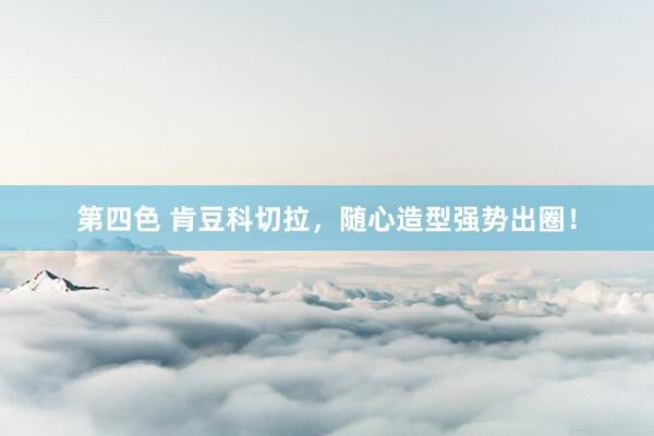 第四色 肯豆科切拉，随心造型强势出圈！