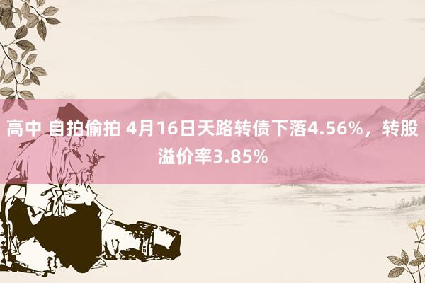 高中 自拍偷拍 4月16日天路转债下落4.56%，转股溢价率3.85%
