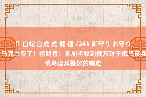 ✨白蛇 白虎 虎 龍 福 /24k 御守り お守り 好意思国、乌克兰签了！特朗普：本周将收到俄方对于俄乌寝兵提议的响应