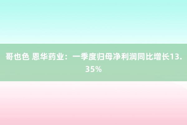 哥也色 恩华药业：一季度归母净利润同比增长13.35%