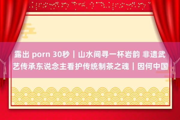 露出 porn 30秒｜山水间寻一杯岩韵 非遗武艺传承东说念主看护传统制茶之魂｜因何中国