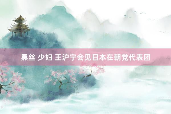 黑丝 少妇 王沪宁会见日本在朝党代表团