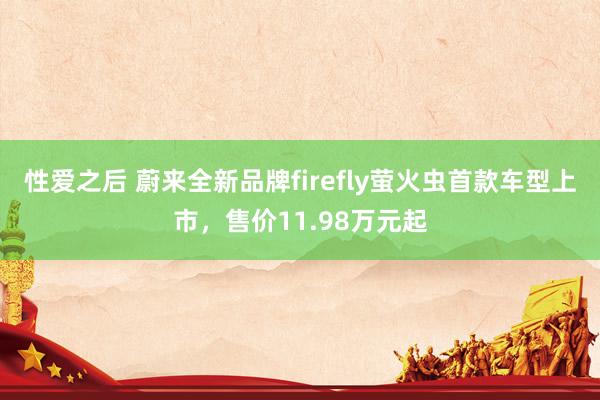 性爱之后 蔚来全新品牌firefly萤火虫首款车型上市，售价11.98万元起