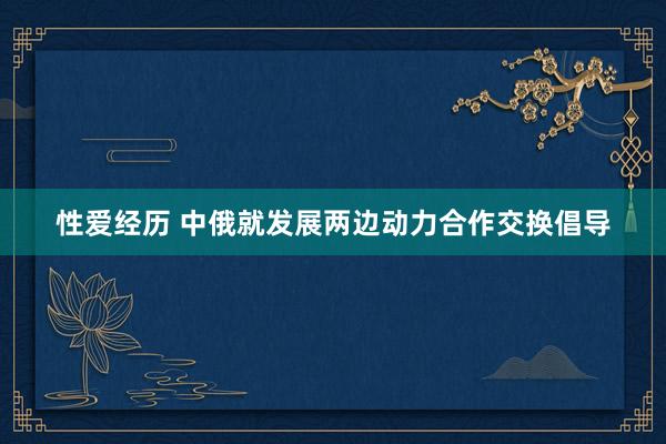 性爱经历 中俄就发展两边动力合作交换倡导