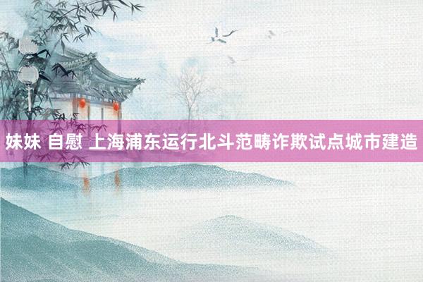 妹妹 自慰 上海浦东运行北斗范畴诈欺试点城市建造