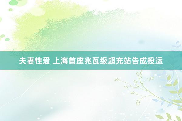 夫妻性爱 上海首座兆瓦级超充站告成投运