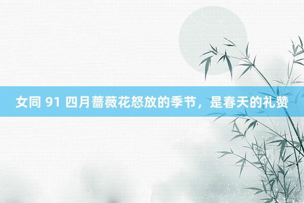 女同 91 四月蔷薇花怒放的季节,是春天的礼赞