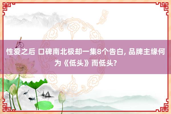 性爱之后 口碑南北极却一集8个告白， 品牌主缘何为《低头》而低头?